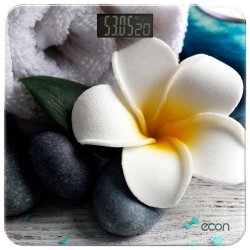 Econ ECO-BS004